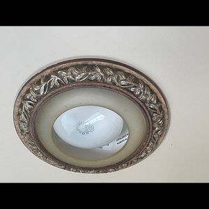 Jessica McClintock recessed light covers (2)